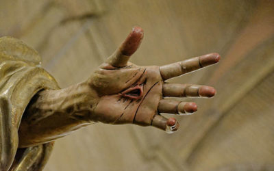 Proyecto “Estamos contigo”