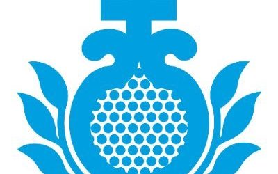 Labores de mantenimiento y estudio de los Sagrados Titulares